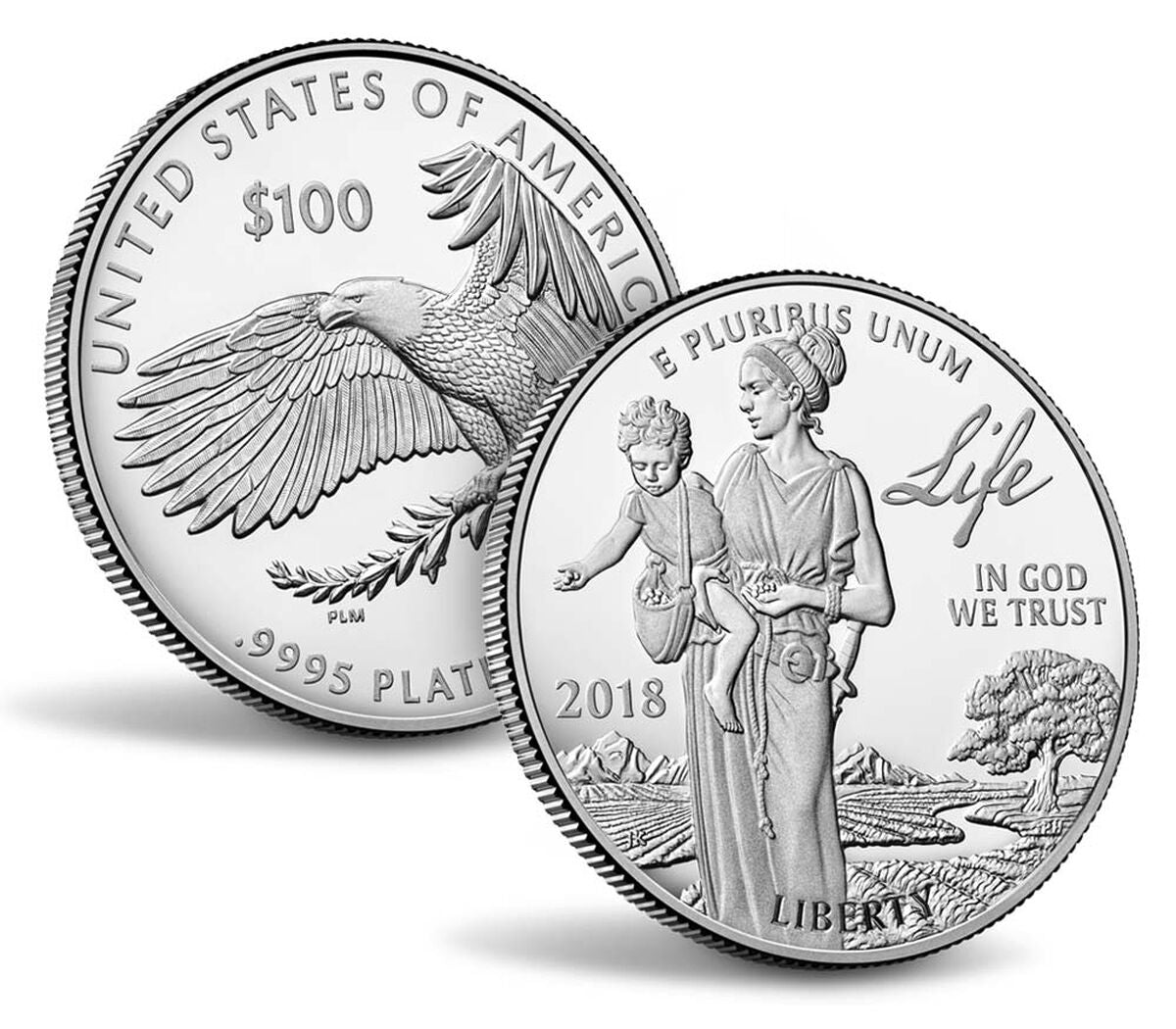 Preamble to the Declaration of Independence 2018 Platinum Proof Coin - Life